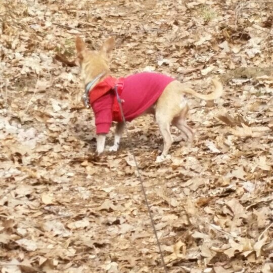 Fountain Pond State Park State or Provincial Park in Great Barrington