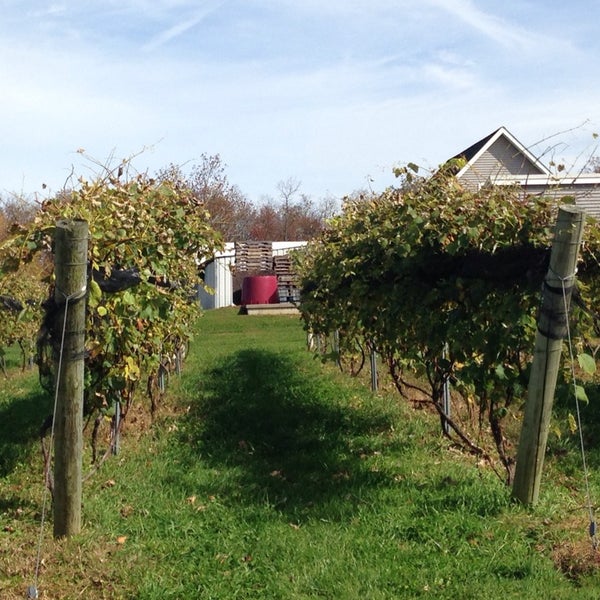 Снимок сделан в Sunset Meadow Vineyards  SMV пользователем Scott B. 10/3/2013