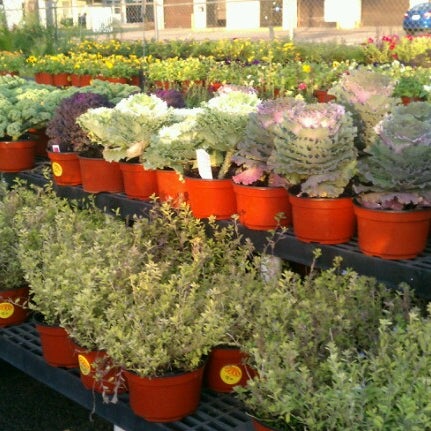 Houston Garden Center Flower Shop In Northeast Houston