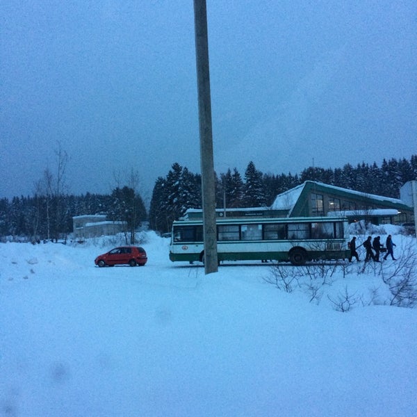 новожилово березники. лыжная база новожилово. елки новожилово. лыжная трасса новожилово березники. лыжная база новожилово березники.