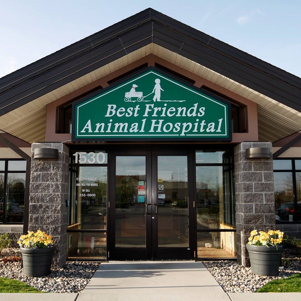 best friends vet hospital