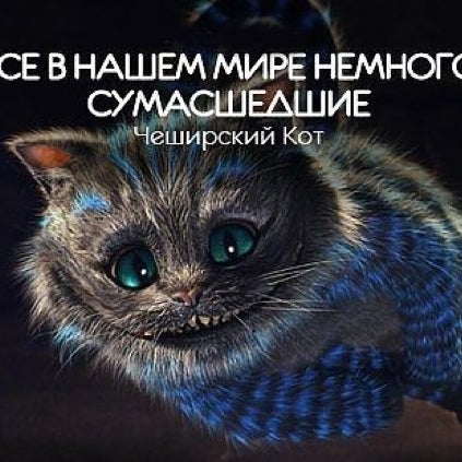Ты в своем уме картинки. Он в своем уме. В своём уме и на своих ногах. Дай бог терпения. Вы в своем уме.
