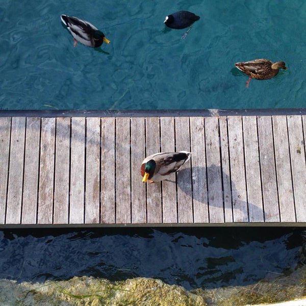 10/17/2015 tarihinde Anna K.ziyaretçi tarafından Garda Gölü'de çekilen fotoğraf