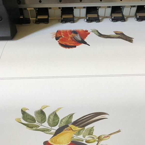 полиграфия наши работы. Ltt z1610 лазерный станок. ламинатор yfma 850. плоттерная резка самоклеющейся пленки спб. готовые работы на лазерном станке.