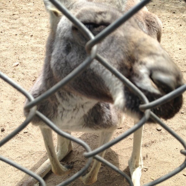 Jr's Petting Zoo Waupaca, WI