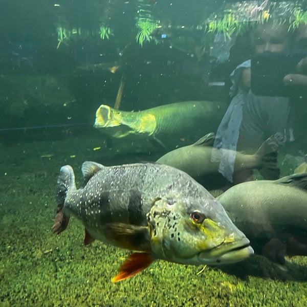 Foto diambil di Aquarium Berlin oleh Andrej B. pada 8/14/2023