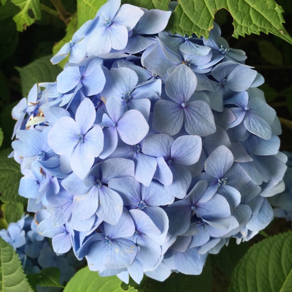 Photos At 富山県中央植物園 2 Tips