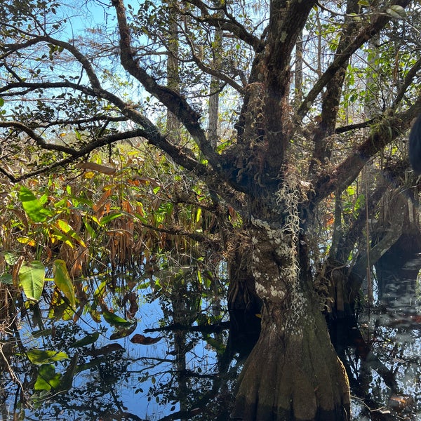 Photo taken at Audubon&#39;s Corkscrew Swamp Sanctuary by Martina C. on 12/26/2021