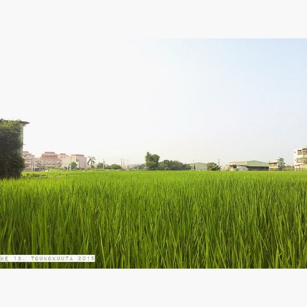 宝可梦璀璨钻石和璀璨明珠中的秘密基地雕像有什么作用