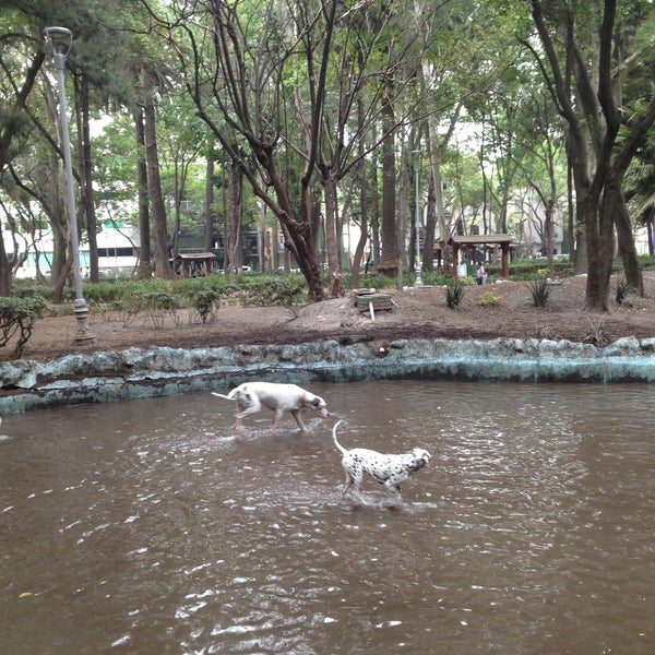 5/12/2013 tarihinde Pablo C.ziyaretçi tarafından Parque México'de çekilen fotoğraf