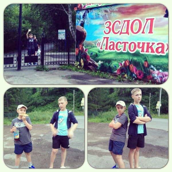 Магазин Ласточка Красноярск Официальный Сайт