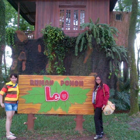 Rumah Pohon Leo 77 Visitors
