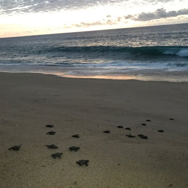 Santo playa. Санто Плайя