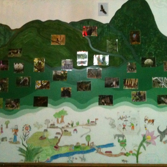 The Hoang Lien National Park nature wall is complete! Come here to learn about the flora & fauna of Sapa's biodiversity.