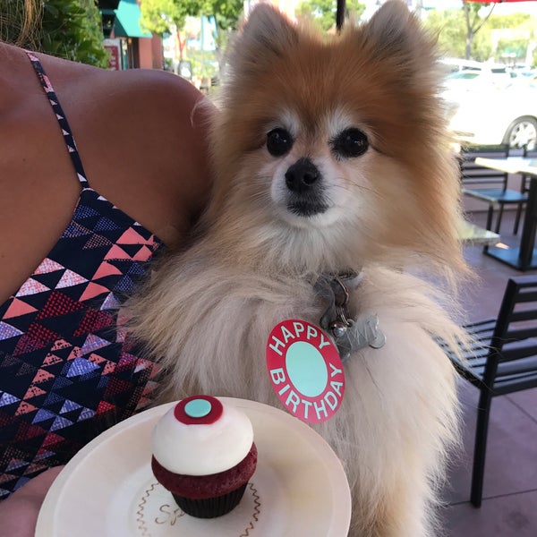 Photo taken at Sprinkles Newport Beach Cupcakes by Irene C. on 5/22/2017