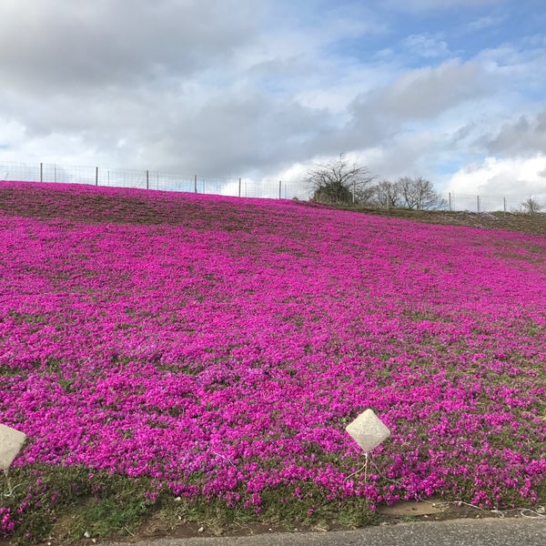 Photos At 東京ドイツ村 芝そりゲレンデ Playground In 袖ヶ浦市