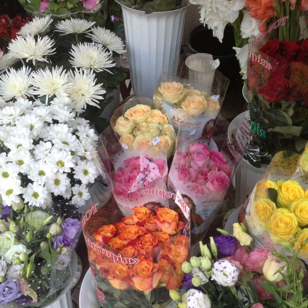 Европа плюс голодные игры. Доброе утро птички на поляне. Сойка флаверс ул захарченко 12 отзывы. Сойка флаверс ул захарченко 12 отзывы. Год в джунглях сьюзен коллинз.