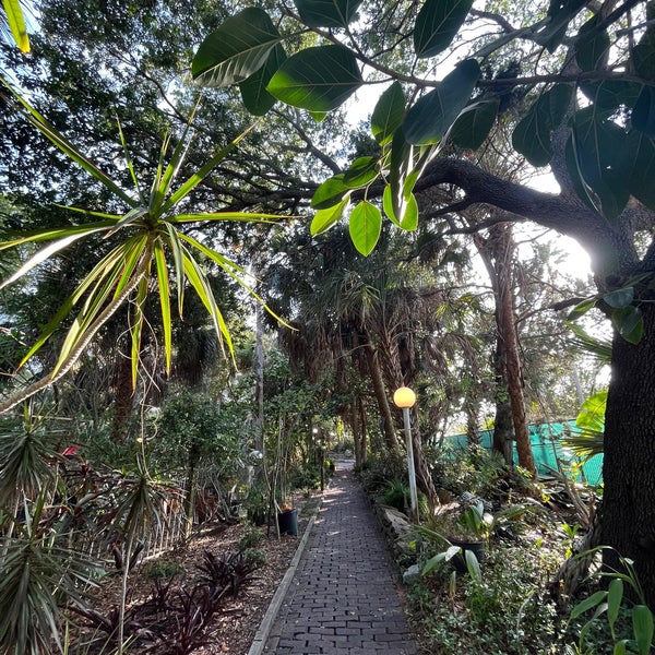 Photos at Jungle Prada De Narváez Park - Saint Petersburg, FL