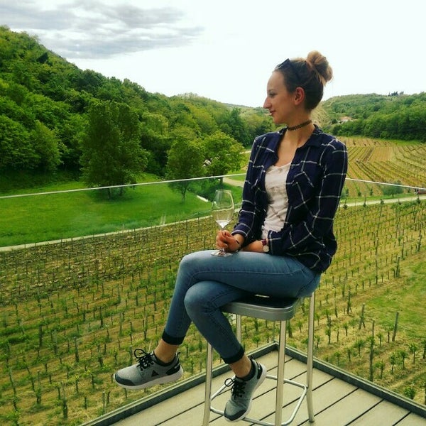 5/4/2016에 Tamara T.님이 Kozlović Winery에서 찍은 사진