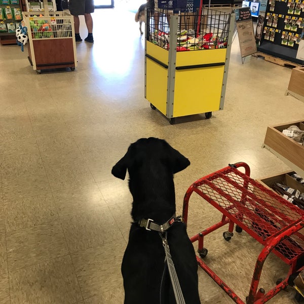 PetSmart Pet Supplies Store