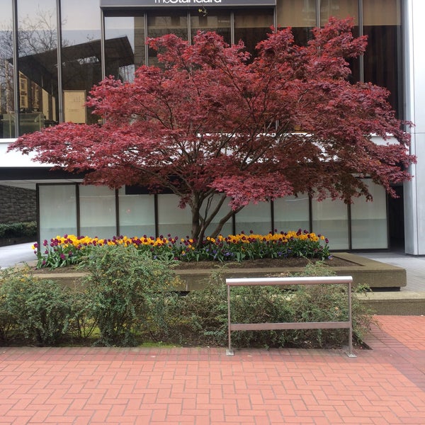 Standard Plaza Insurance Agency