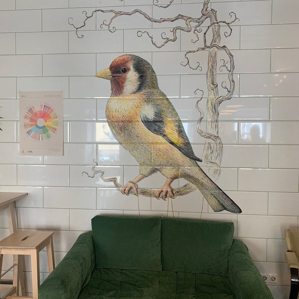 кофейня щегол