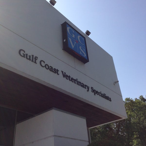 Photo prise au Gulf Coast Veterinary Specialists par The E R. le7/27/2013