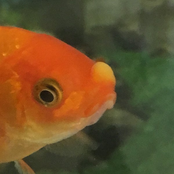 Aveve Veurne West Vlaanderen