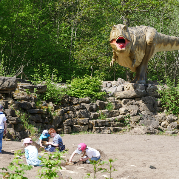 Photo taken at Dinosaurierpark Teufelsschlucht by Business o. on 8/5/2019