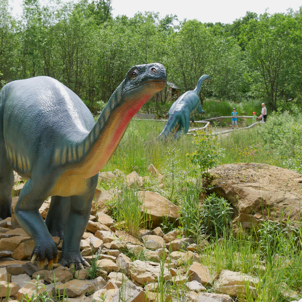 Foto tirada no(a) Dinosaurierpark Teufelsschlucht por Business o. em 8/5/2019