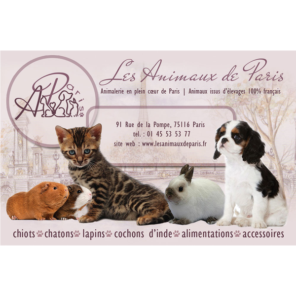Photos At Les Animaux De Paris Passy 91 Rue De La Pompe