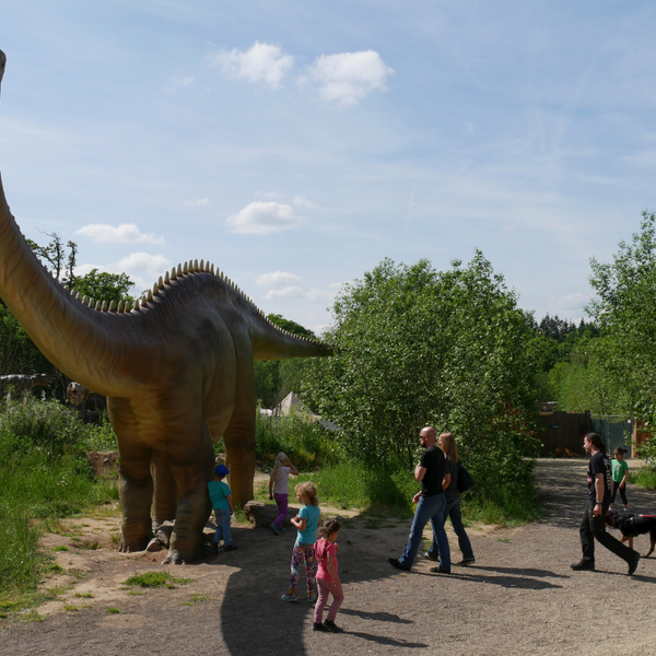Photo taken at Dinosaurierpark Teufelsschlucht by Business o. on 8/5/2019