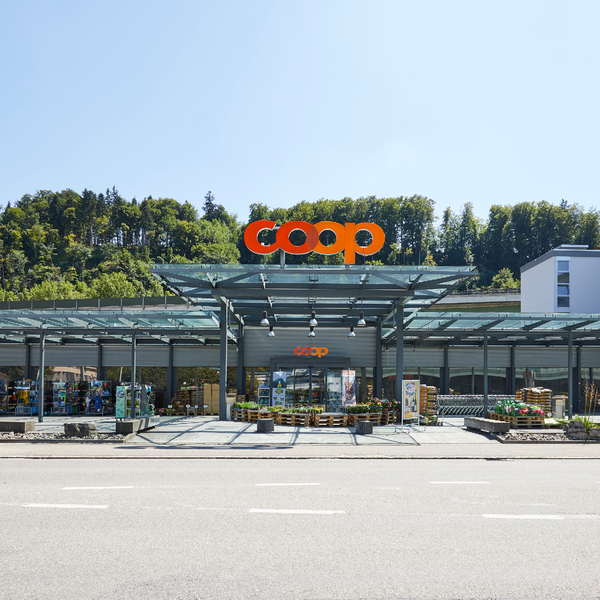 Coop - 방문자 29명 Coop