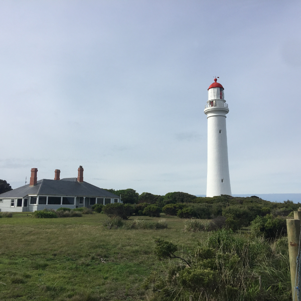 Aireys Inlet Holiday Park 13 visitors