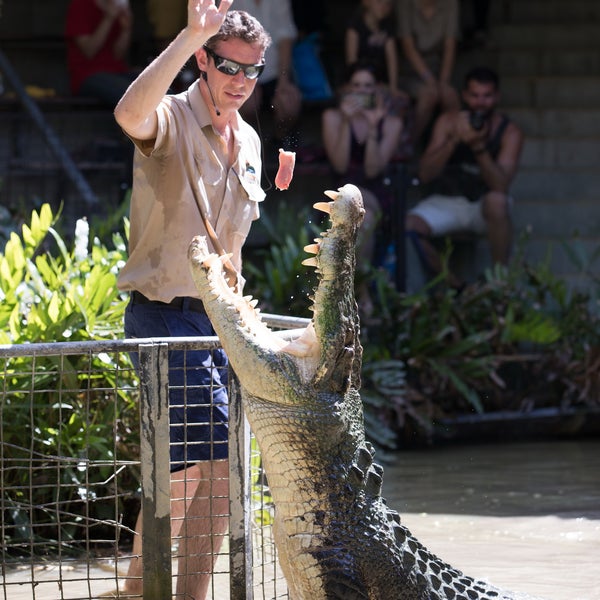 Photo taken at Hartley&#39;s Crocodile Adventures by Business o. on 4/25/2020