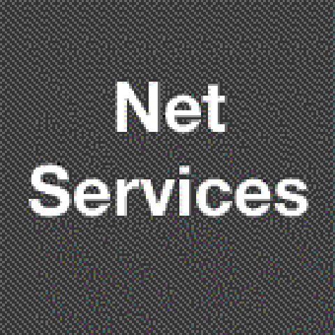 Net services ru