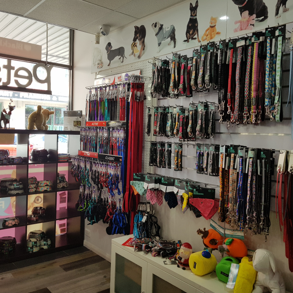 Pets Palace Newtown, NSW