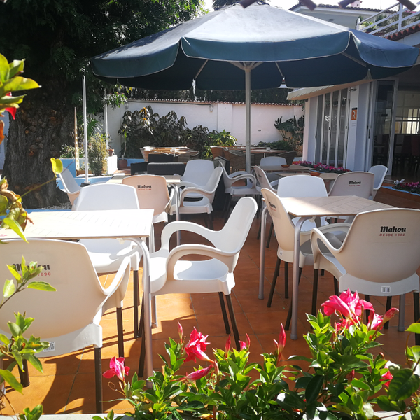 El Rey de las Tortillas Carretera Botánico 14