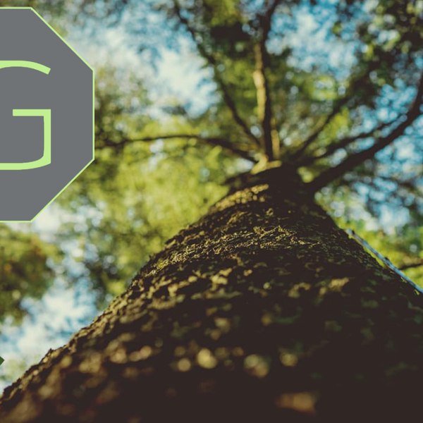 Photos At Ross Gartenbau Landschaftsbau Und Tiefbau Hennef Sieg Nordrhein Westfalen