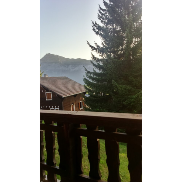 чехлы на колеса. Tire fesses. Car tires. замена колеса. чехлы для колес авто.