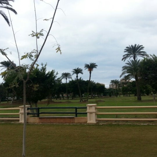 Спортинг александрия. Morgan's Cove Resort and Casino. Город Гуаиба.