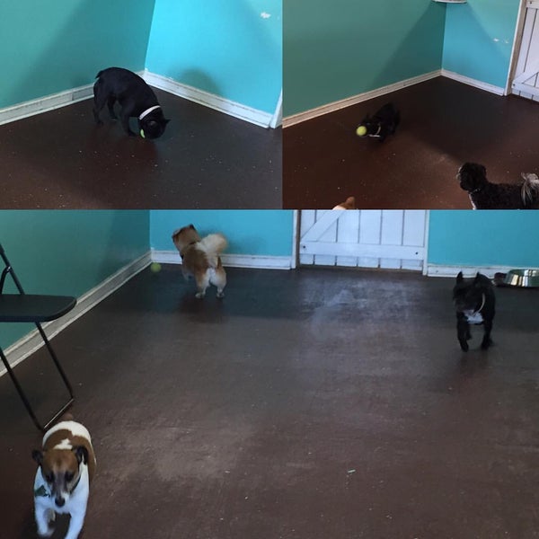 Photo taken at Pupcakes Playcare by Pupcakes P. on 9/15/2015
