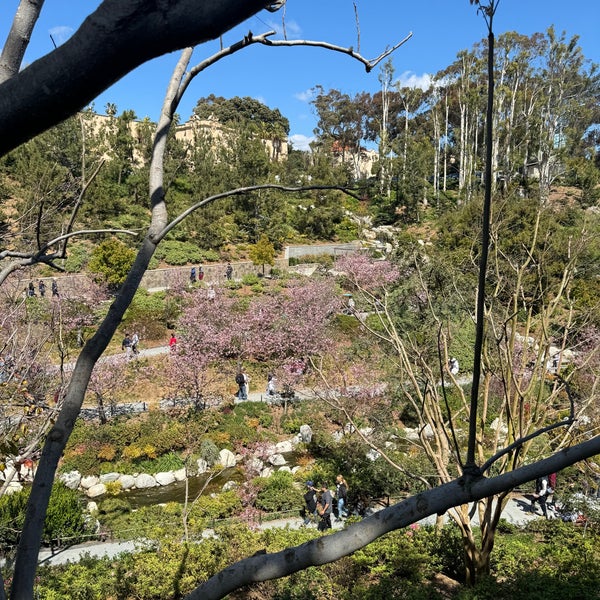 Photo taken at Japanese Friendship Garden by Tom B. on 3/29/2024