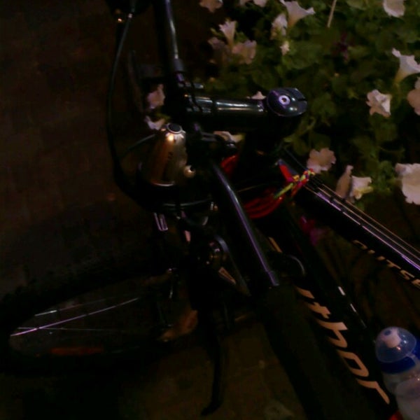 Сойка флаверс ул захарченко 12 отзывы. Галерея цветов нижний новгород. Сойка флаверс ул захарченко 12 отзывы. Коллинз сьюзен - сойка-пересмешница аудиокнига. Поляна с птицами.