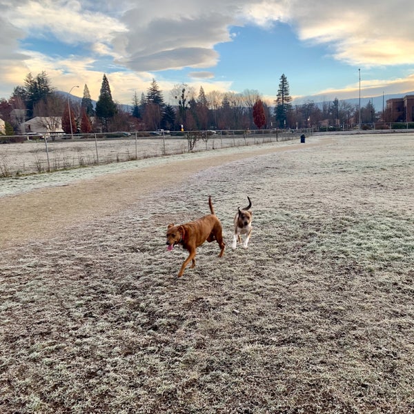 Bear Creek Dog Park Medford, OR