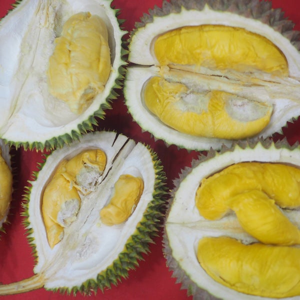 Chin Yong Fruits Trading Now Closed