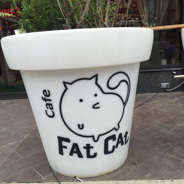 รูปภาพถ่ายที่ Fat Cat โดย Алексей L. เมื่อ 4/22/2016