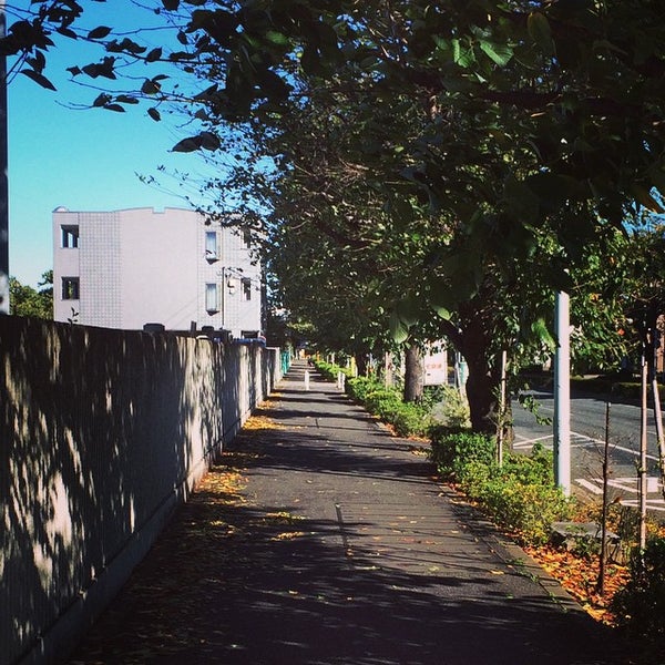 Photos At 府中市立 本宿小学校 府中 0 Tips