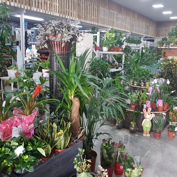 Warsan dubai nursery, Dubai (+971 50 281 3787)