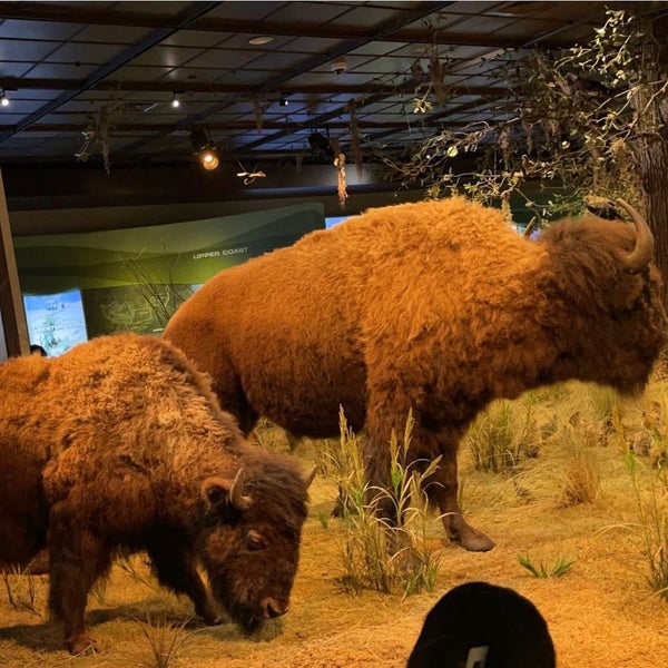 Foto scattata a Houston Museum of Natural Science da Close il 6/23/2022